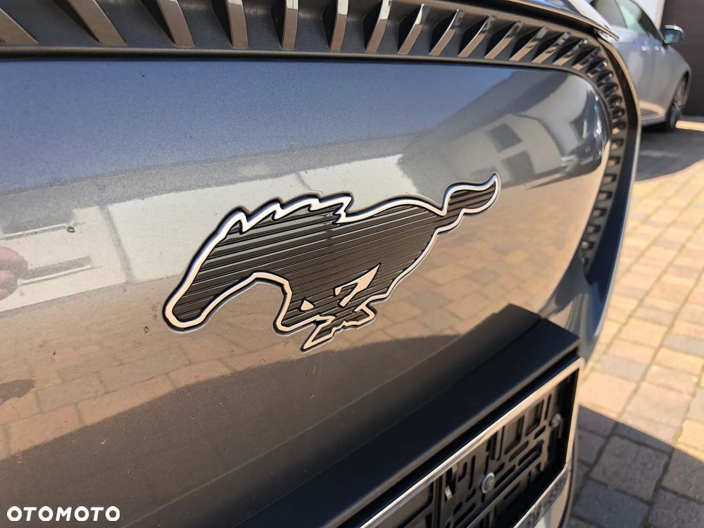 Ford Mustang Mach-E - 19