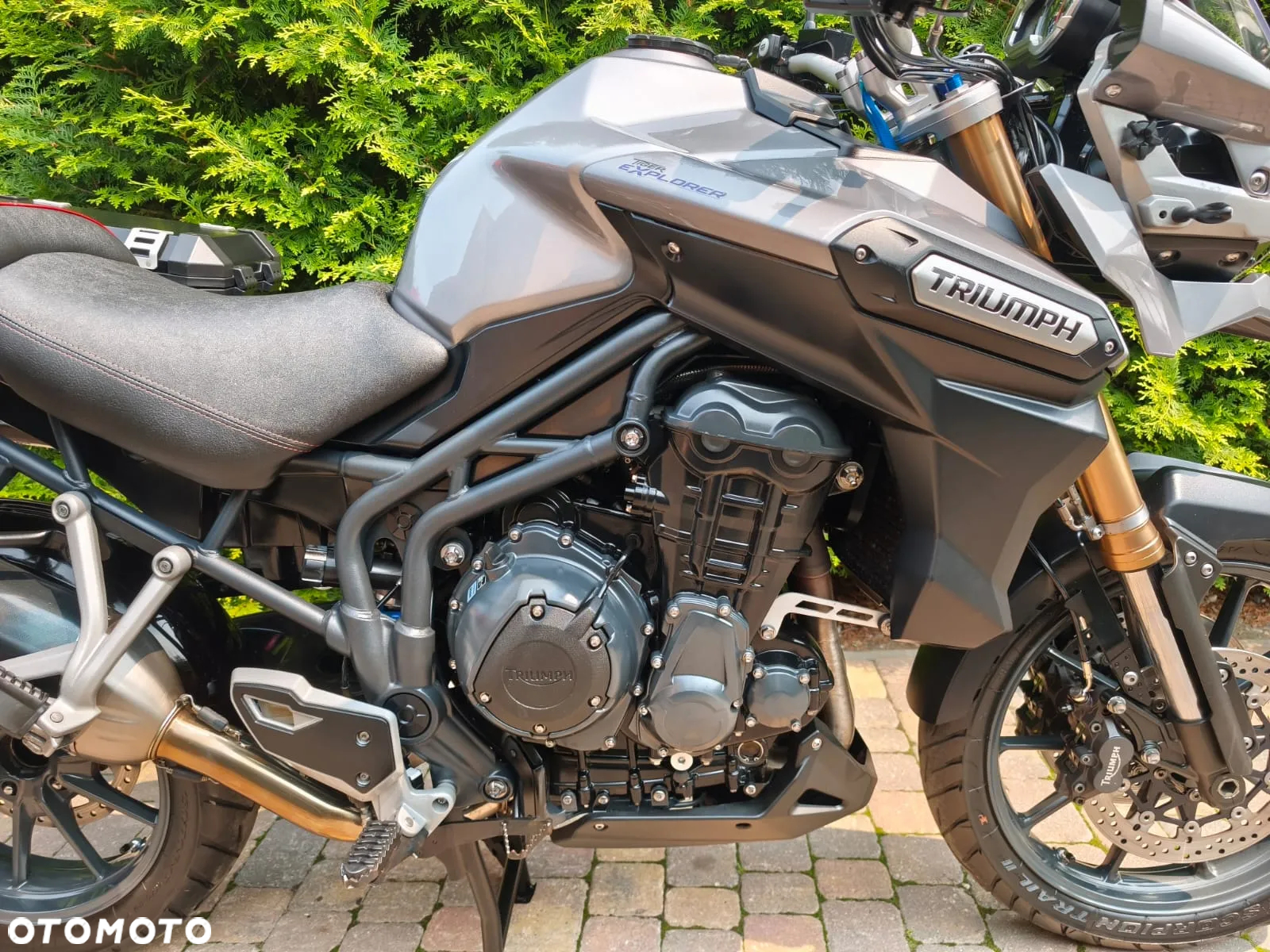 Triumph Tiger - 8