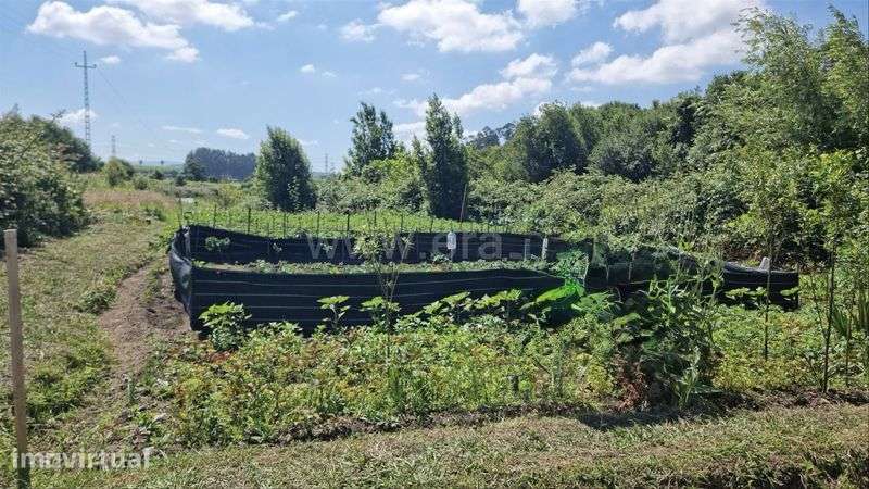 2 Terrenos Agrícolas em Baltar – 304 m² – 15.000 €