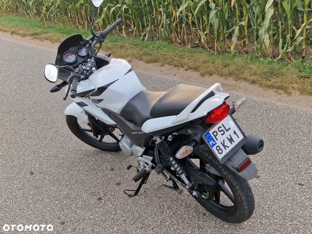 Honda CBF - 4