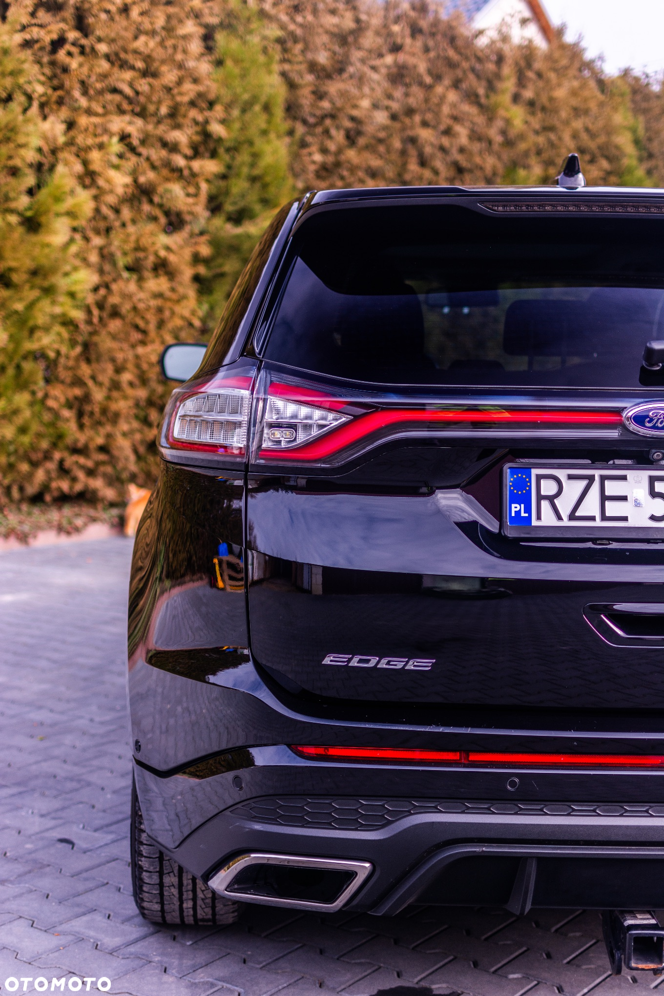 Ford Edge - 12