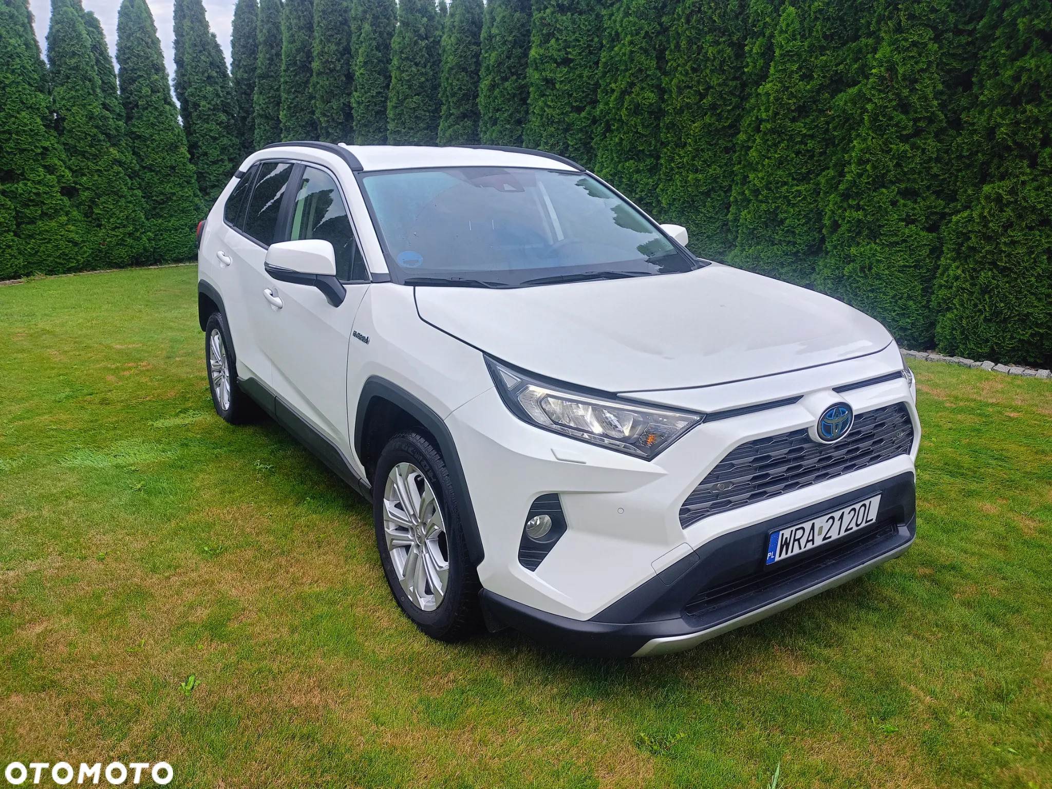 Toyota RAV4 2.5 4x2 Hybrid Business Edition - 2