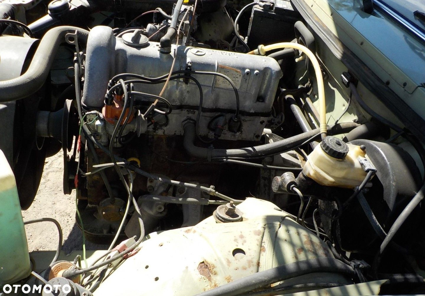 Mercedes-Benz W123 - 9