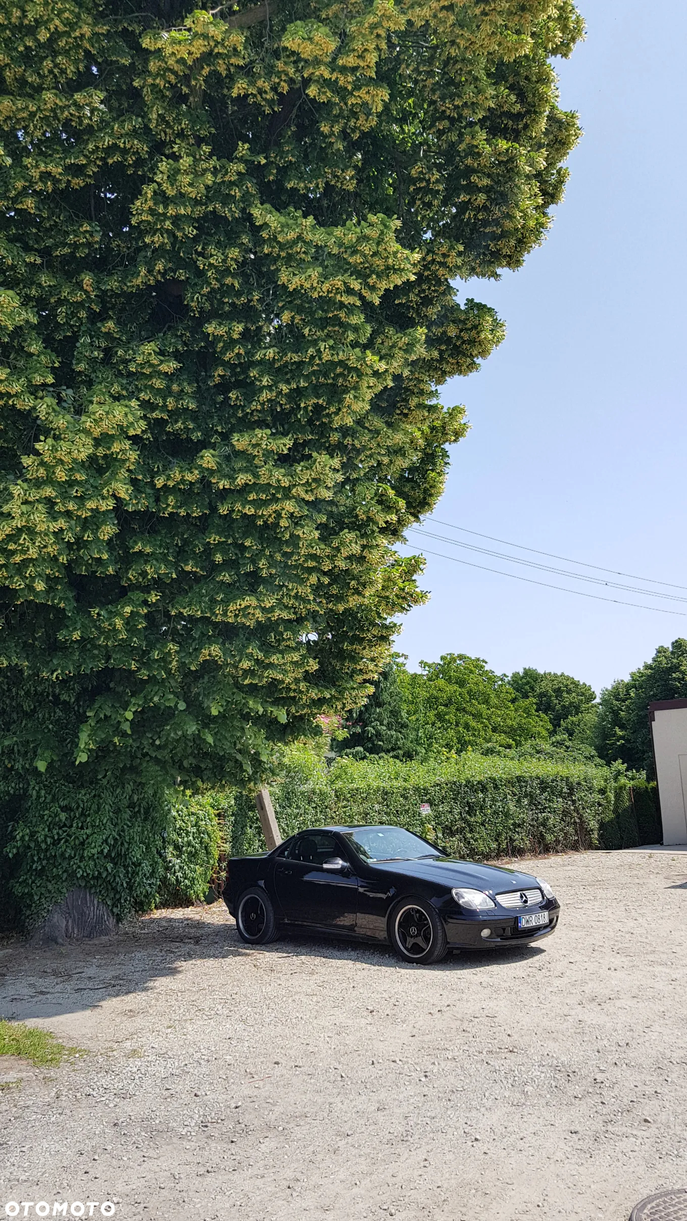 Mercedes-Benz SLK - 15