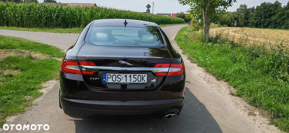 Jaguar XF 2.2 D Premium Luxury - 3