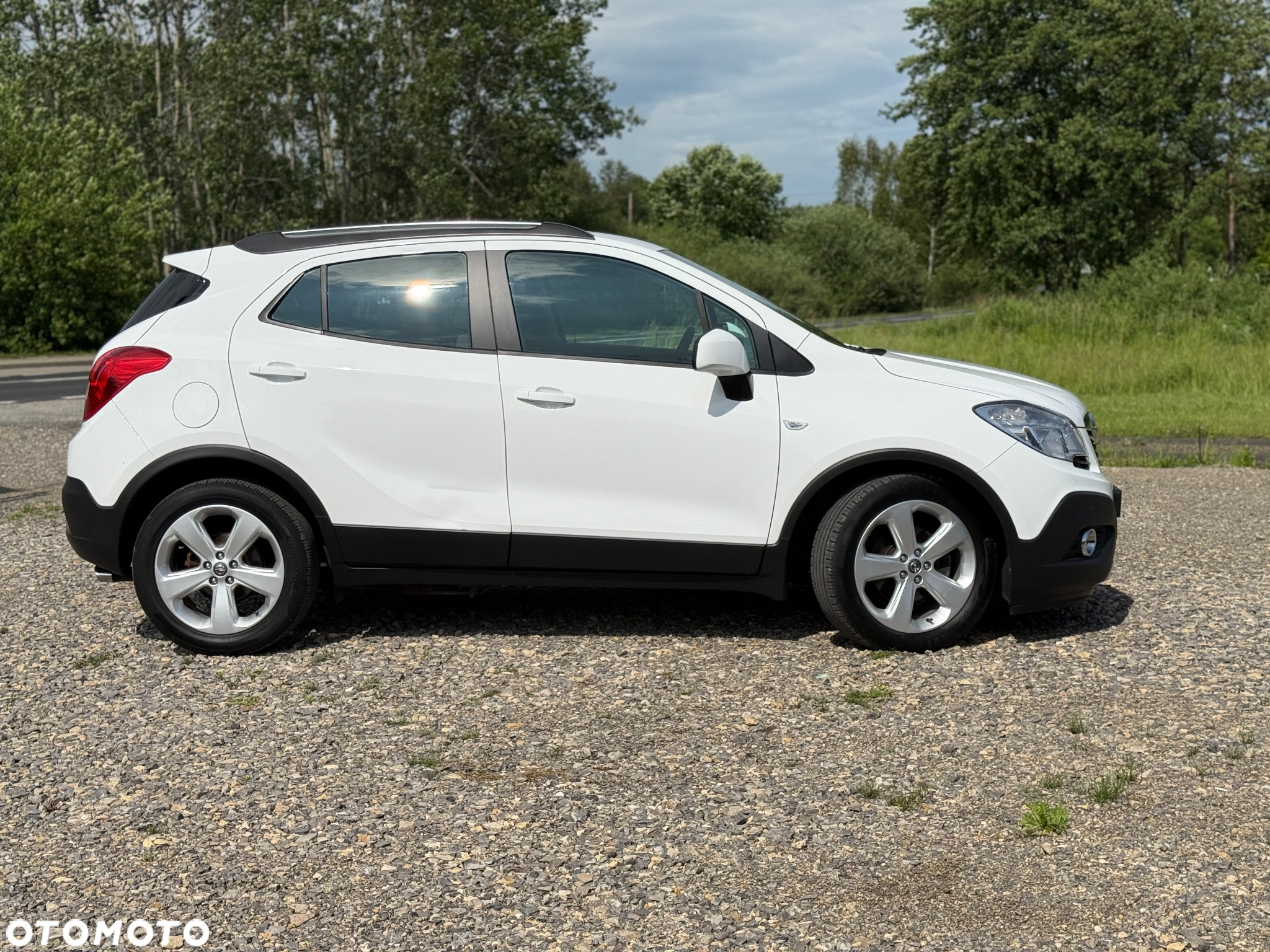 Opel Mokka 1.7 CDTI Cosmo S&S 4x4 - 6