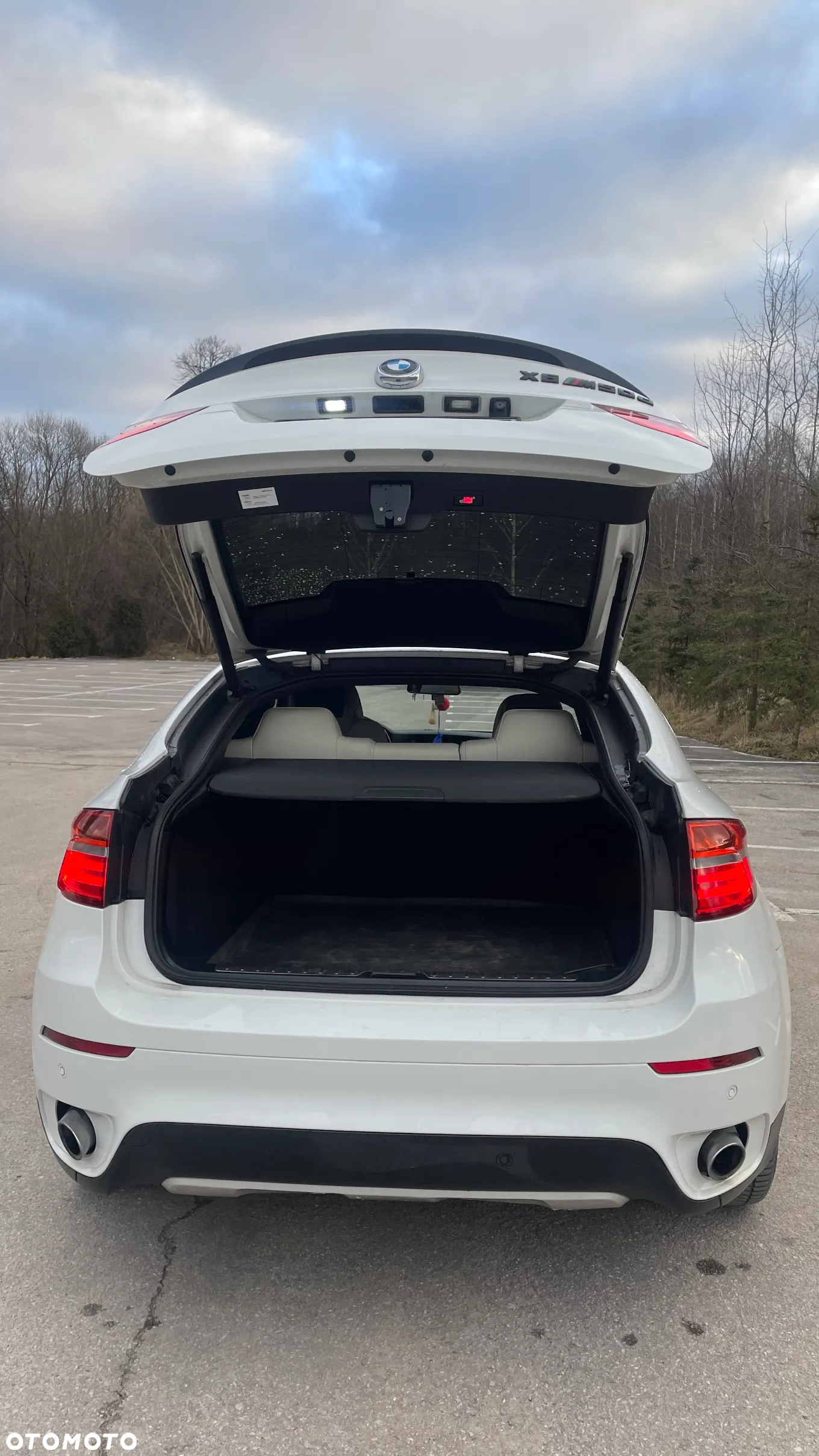 BMW X6 30d xDrive - 12