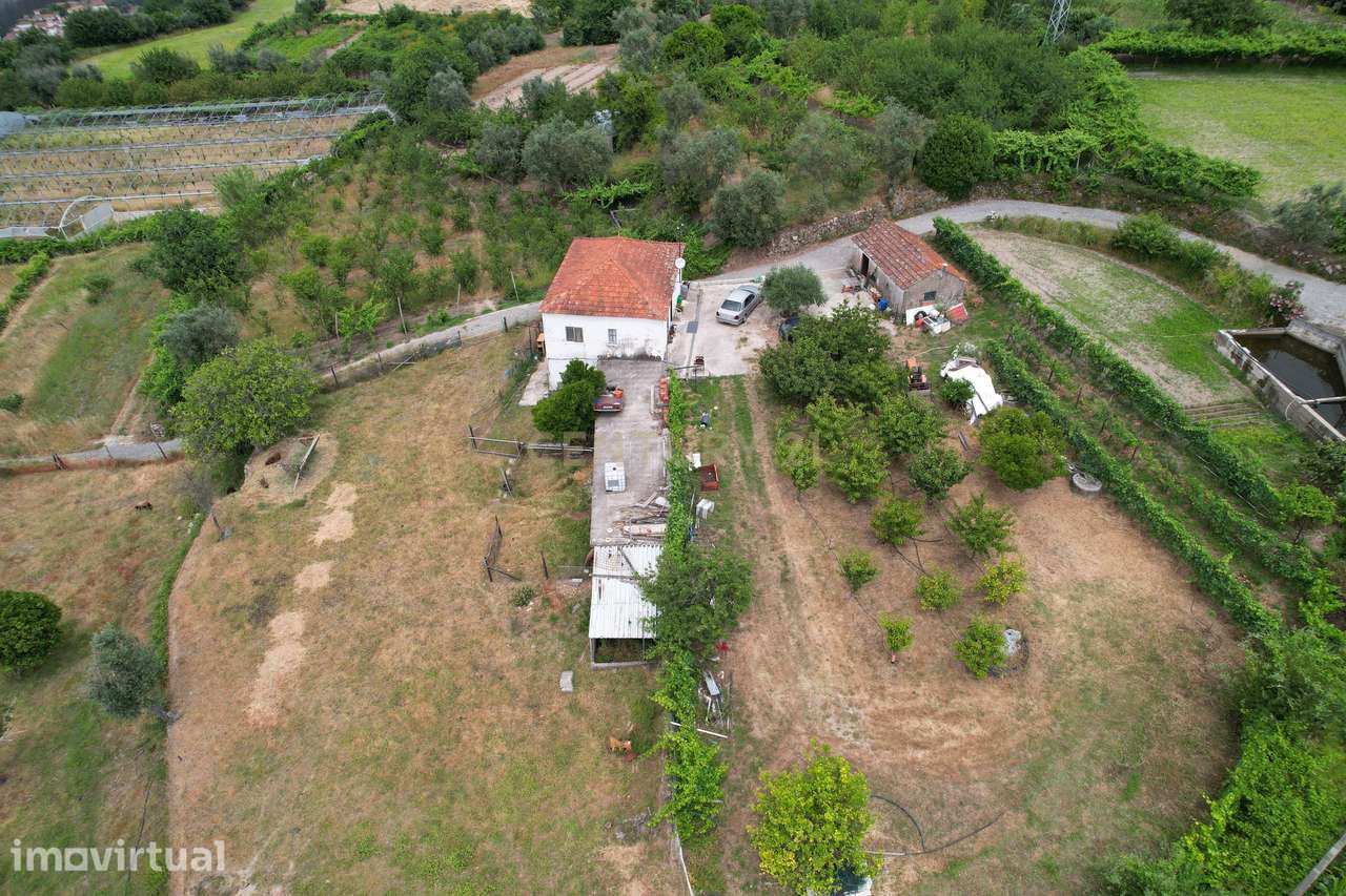 Quinta em Miomães, Resende | Um refúgio rural com cerca de 4 hectares - Grande imagem: 2/58