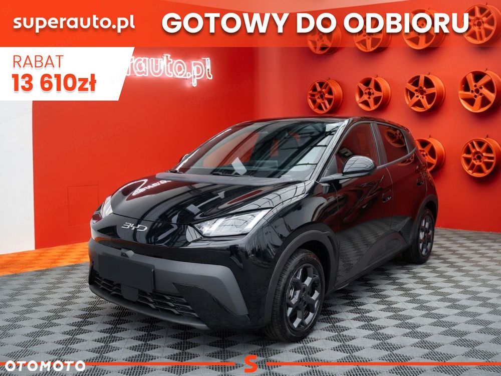 BYD Dolphin Surf - 1