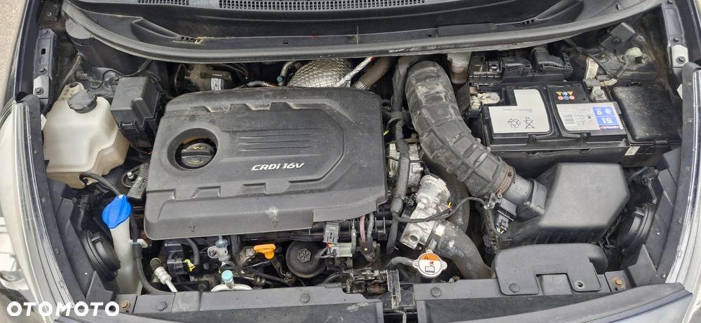 Kia Rio 1.4 CRDI Fifa World Cup Edition - 11