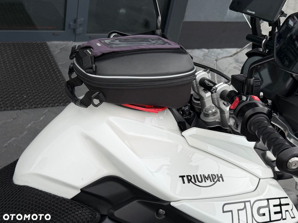 Triumph Tiger - 11