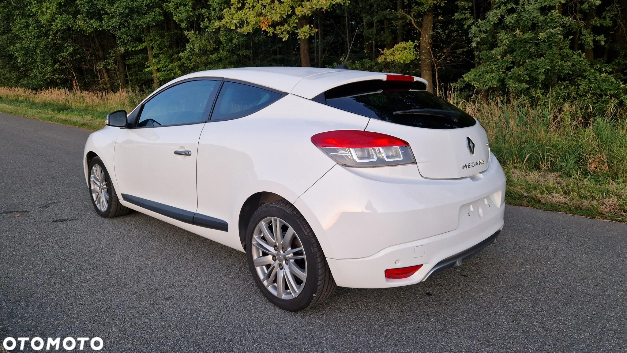 Renault Megane - 5