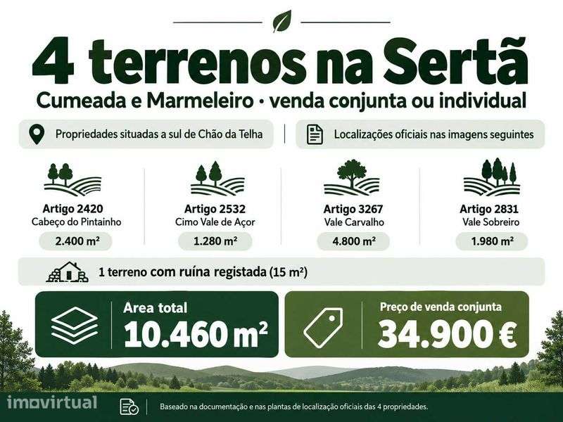 4 terrenos na Sertã - 10.460 m² + ruína registada