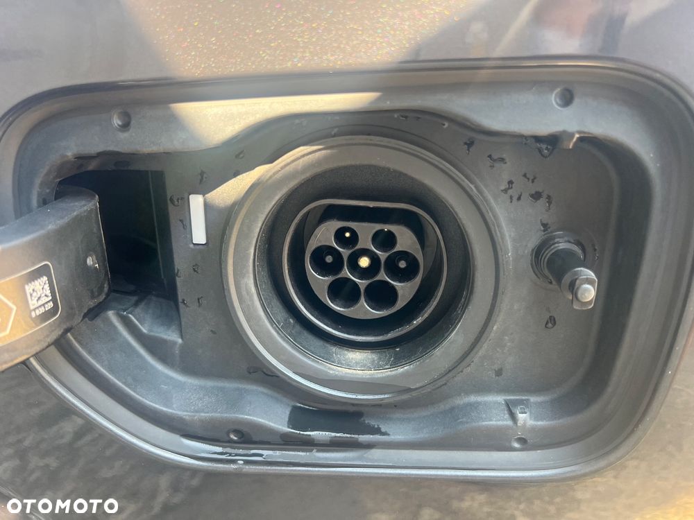 BMW Seria 5 530e iPerformance GPF Luxury Line - 24