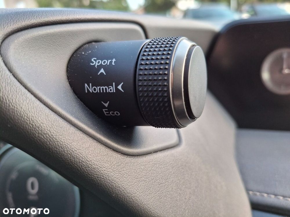 Lexus UX 250h GPF Prestige AWD - 24