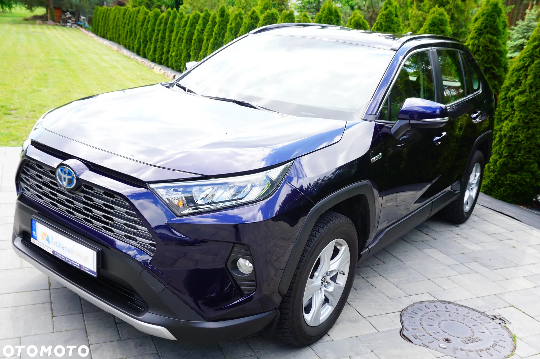 Toyota RAV4 2.5 Hybrid Comfort 4x2 - 8