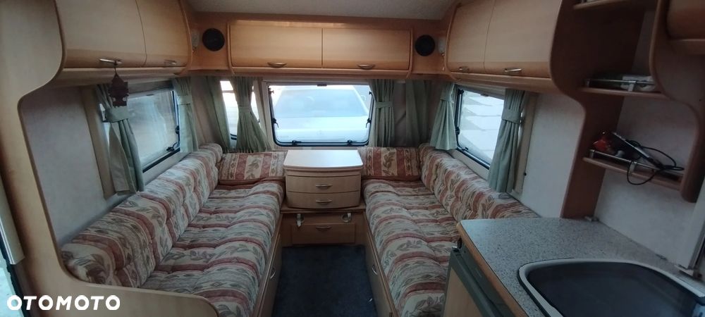 Coachman Amara - 3