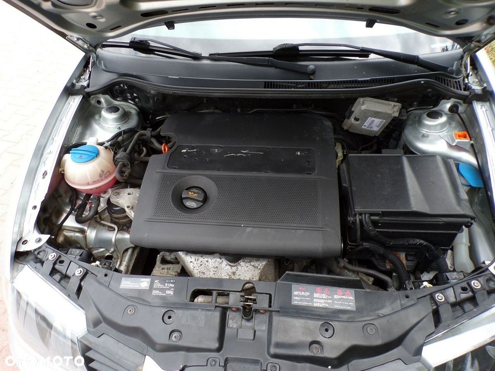 Seat Ibiza - 31