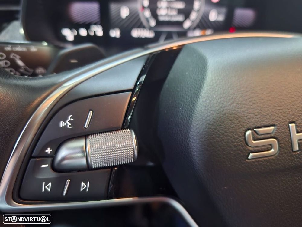 Skoda Kamiq 1.0 TSI Selection DSG - 23