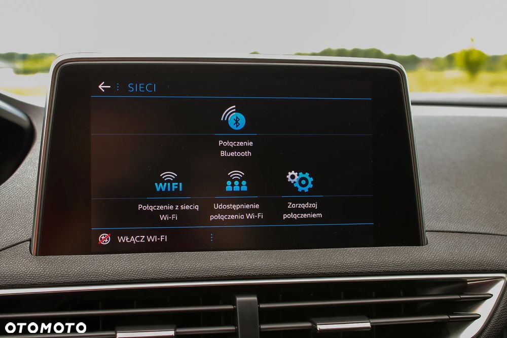 Peugeot 3008 - 30