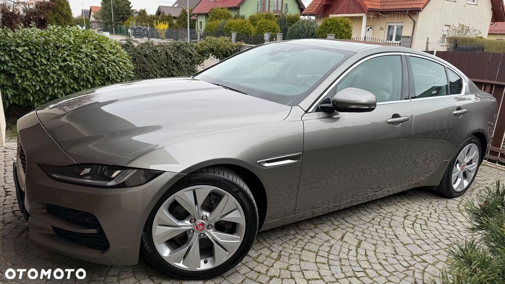 Jaguar XE - 19