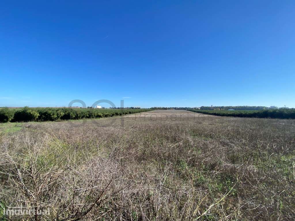 Terreno Rustico com cerca de quatro hectares, nas imediações da cid... - Grande imagem: 4/11