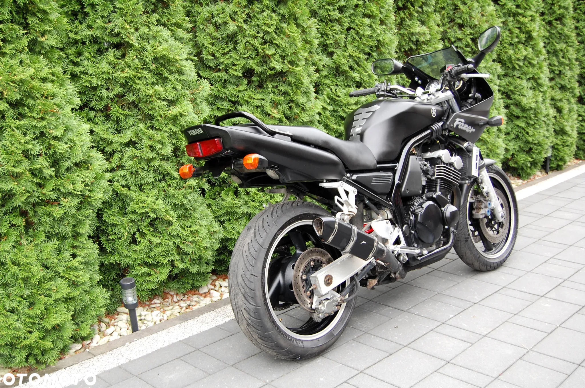 Yamaha FZS - 3