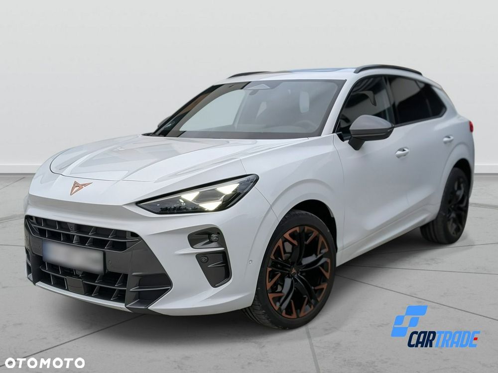 Cupra Terramar - 37