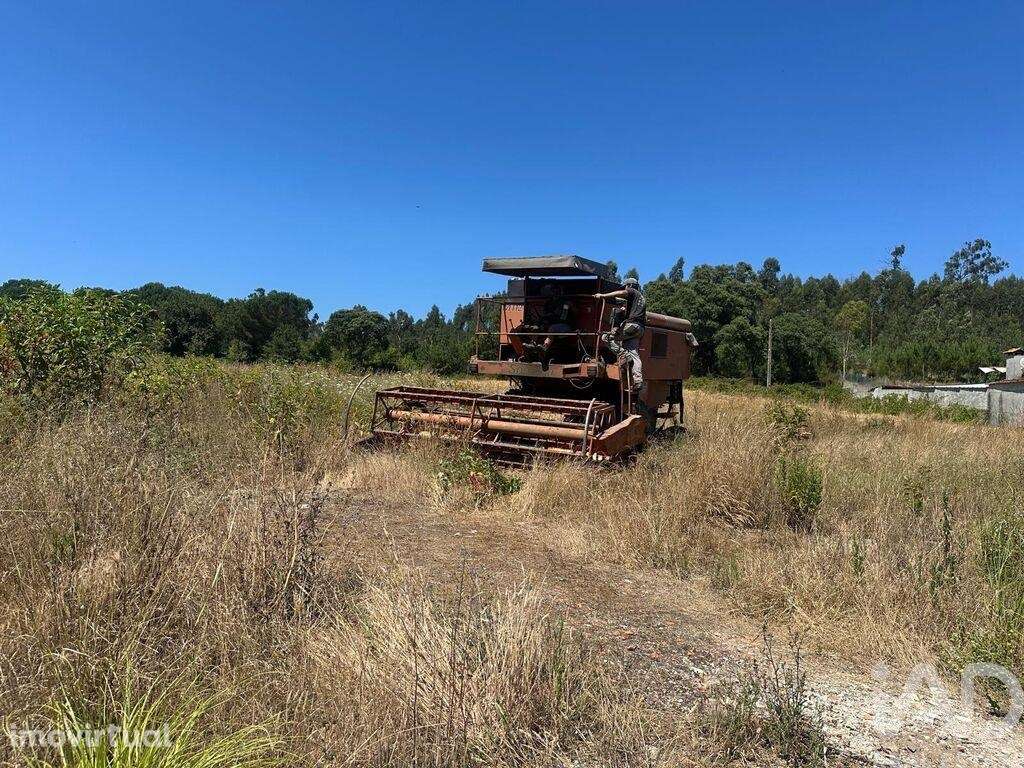 Terreno para construção em Requeixo, Nossa Senhora de Fátima e Nariz d - Grande imagem: 2/4