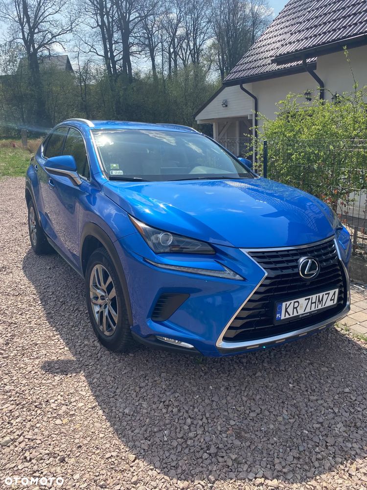 Lexus NX 300 Business Edition AWD - 8