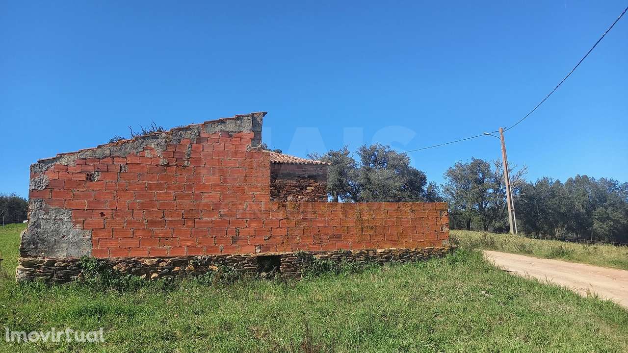 Herdade de 30 hectares em Cercal do Alentejo, Santiago do Cacém, Se... - Grande imagem: 4/29