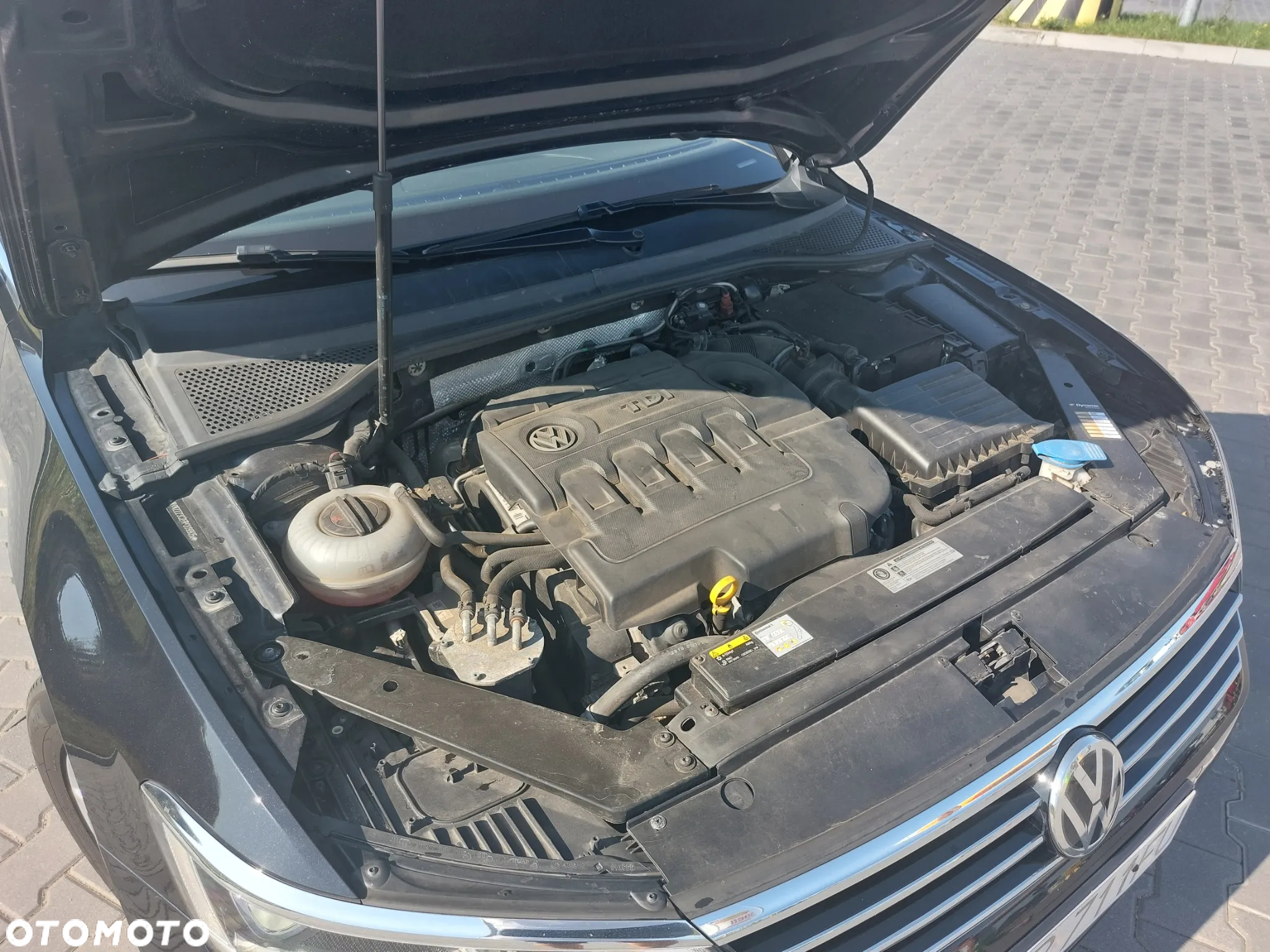 Volkswagen Passat - 10