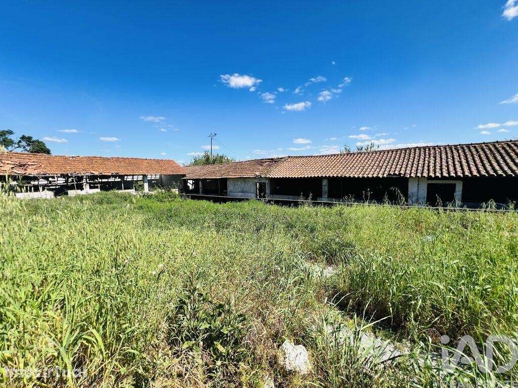 Casa / Villa T8 em Seiça de 1243 m2 - Grande imagem: 5/35