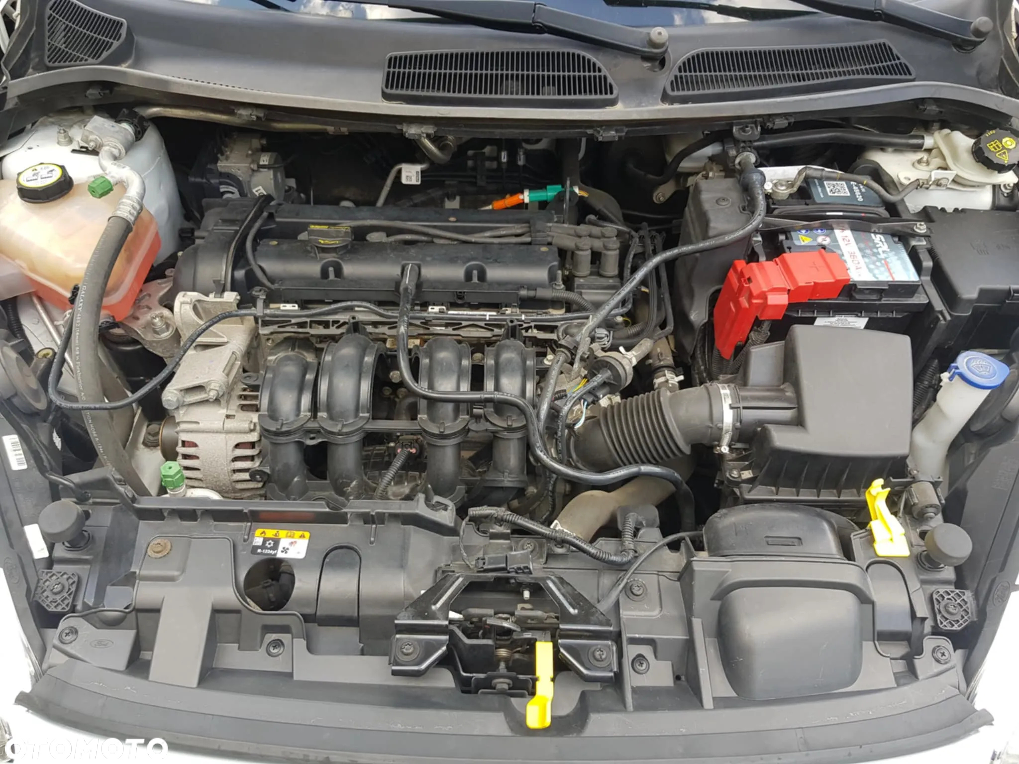 Ford Fiesta - 11