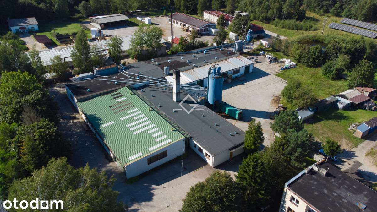 Zakład Produkcyjno usługowy | działka 2,4 ha - Pełny obrazek: 2/20