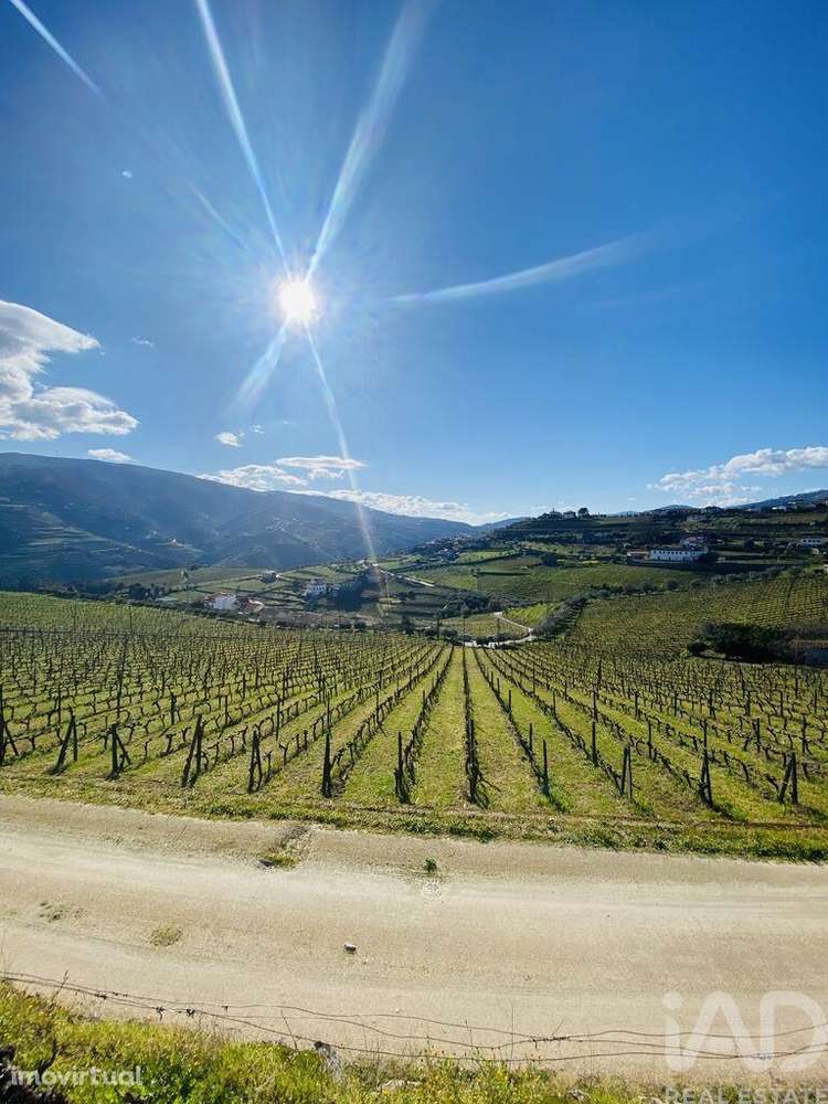 Quinta T3 em Fontelas de 1020,00 m2 - Grande imagem: 5/30