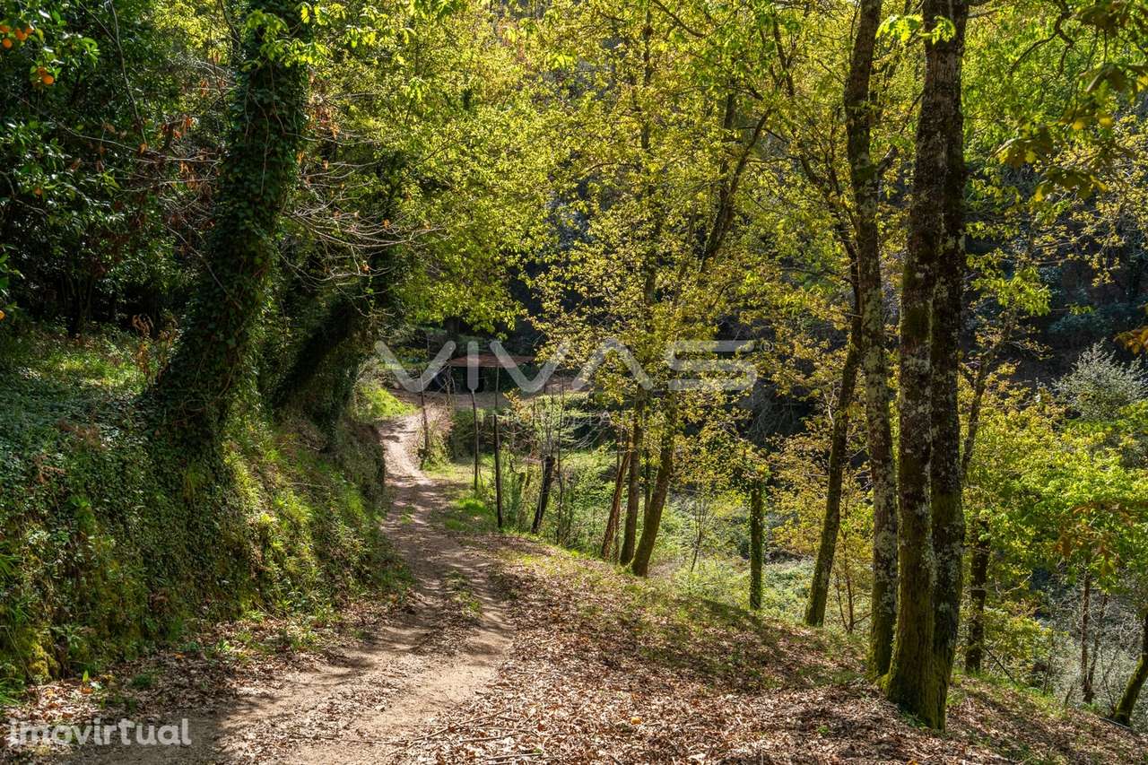 Terreno Rústico  Venda em Louredo,Vieira do Minho - Grande imagem: 4/21
