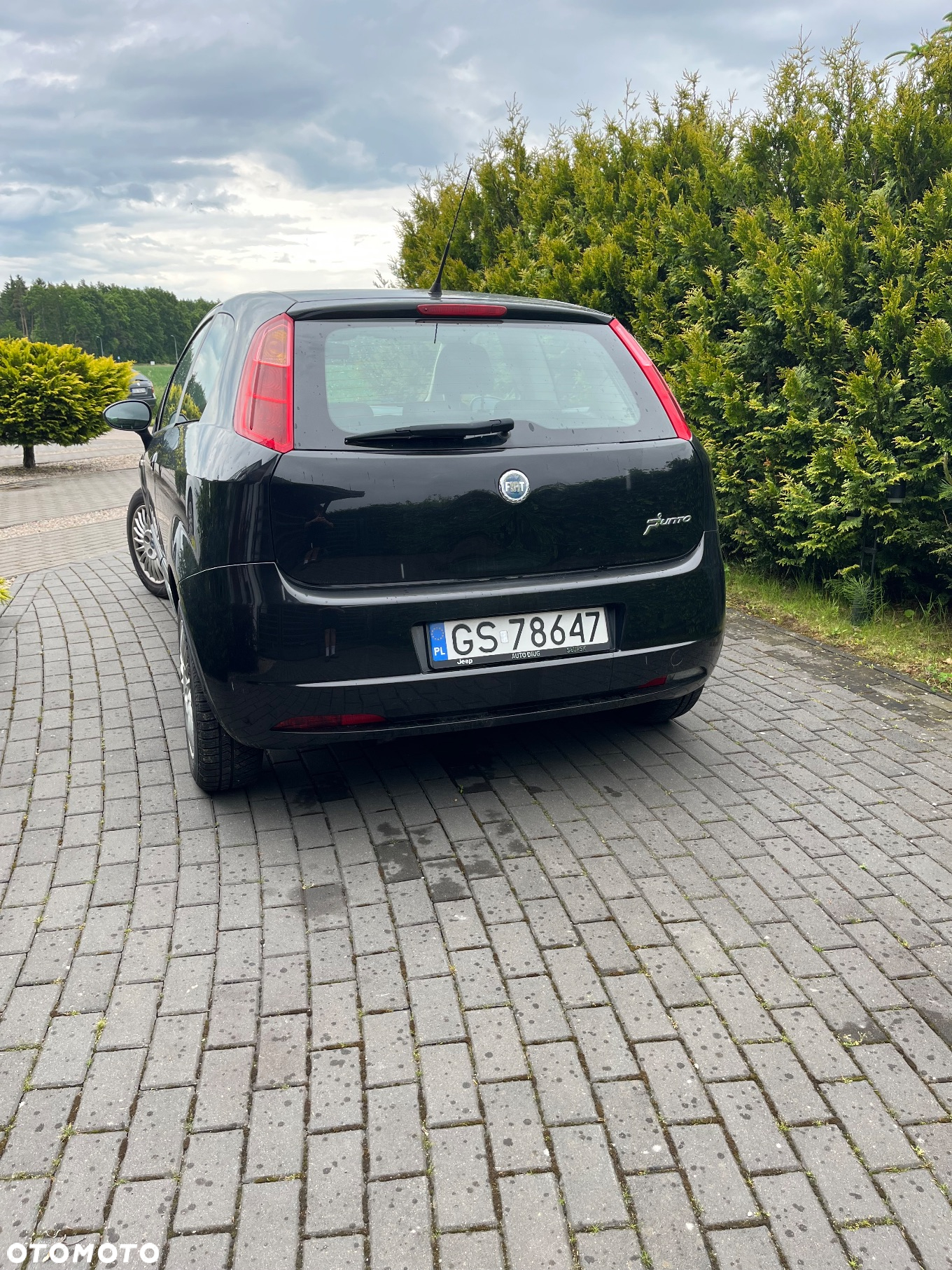 Fiat Punto 1.2 8V - 6
