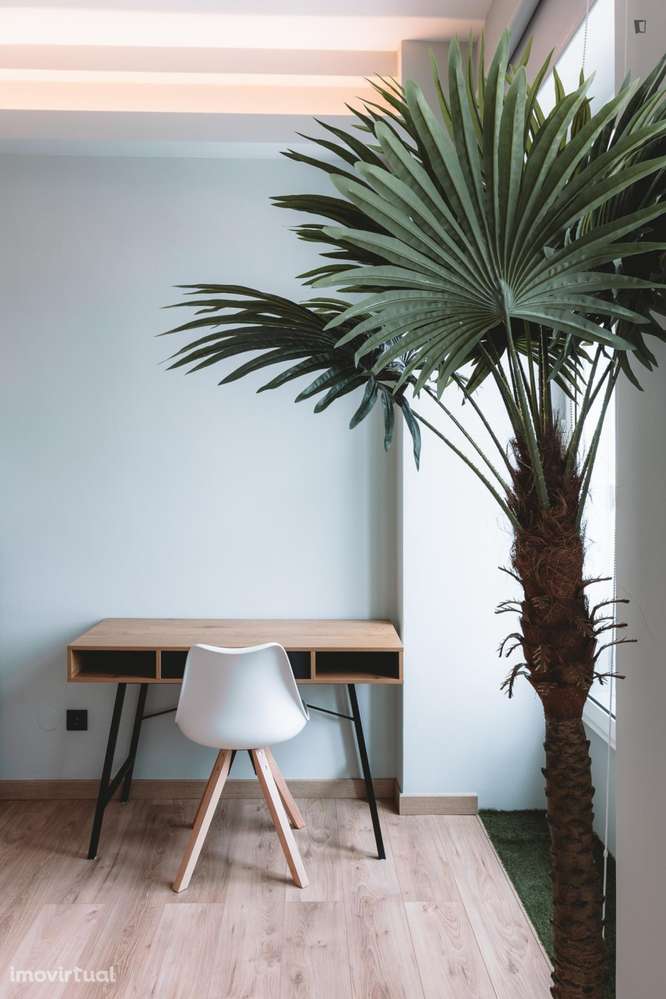 Estúdio - localizado em Sé Porto - Grande imagem: 3/22