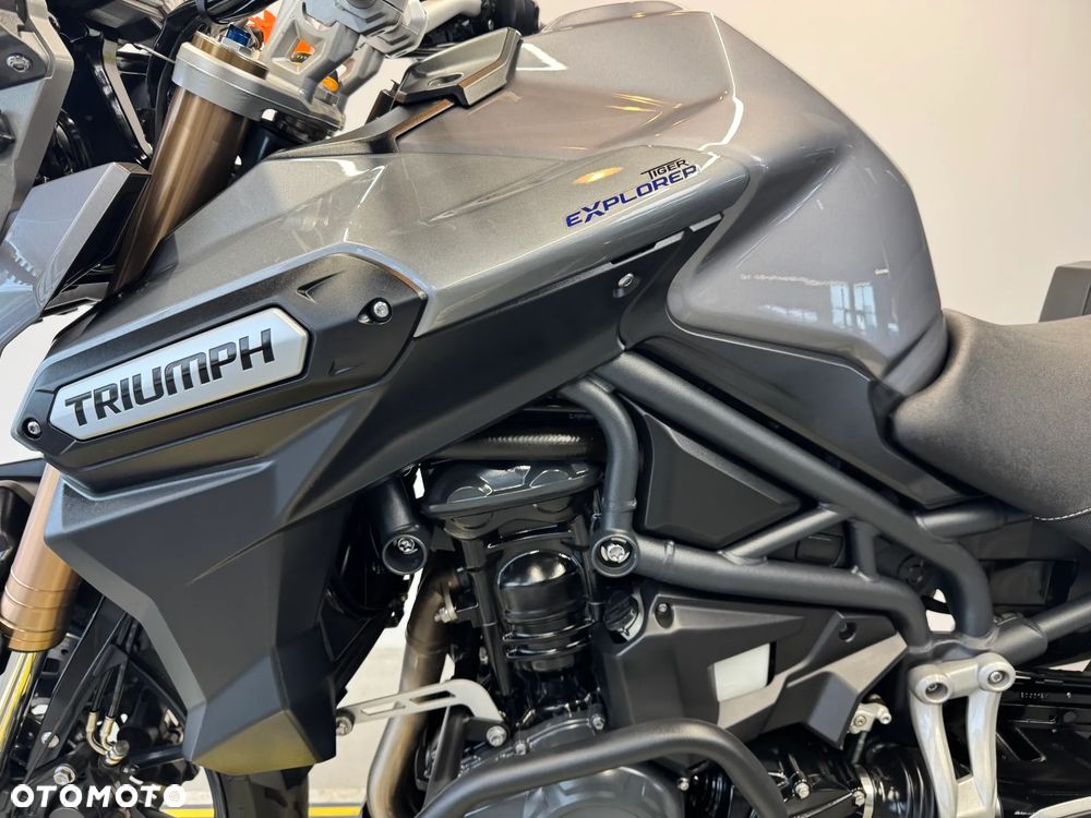 Triumph Tiger - 22