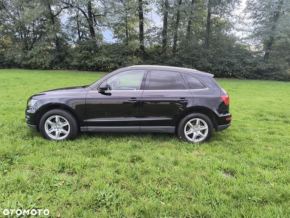 Audi Q5 2010 photo 3