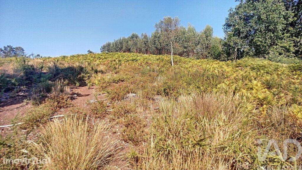 Casa de Campo em Pedrógão Grande de 91,00 m2 - Grande imagem: 5/12