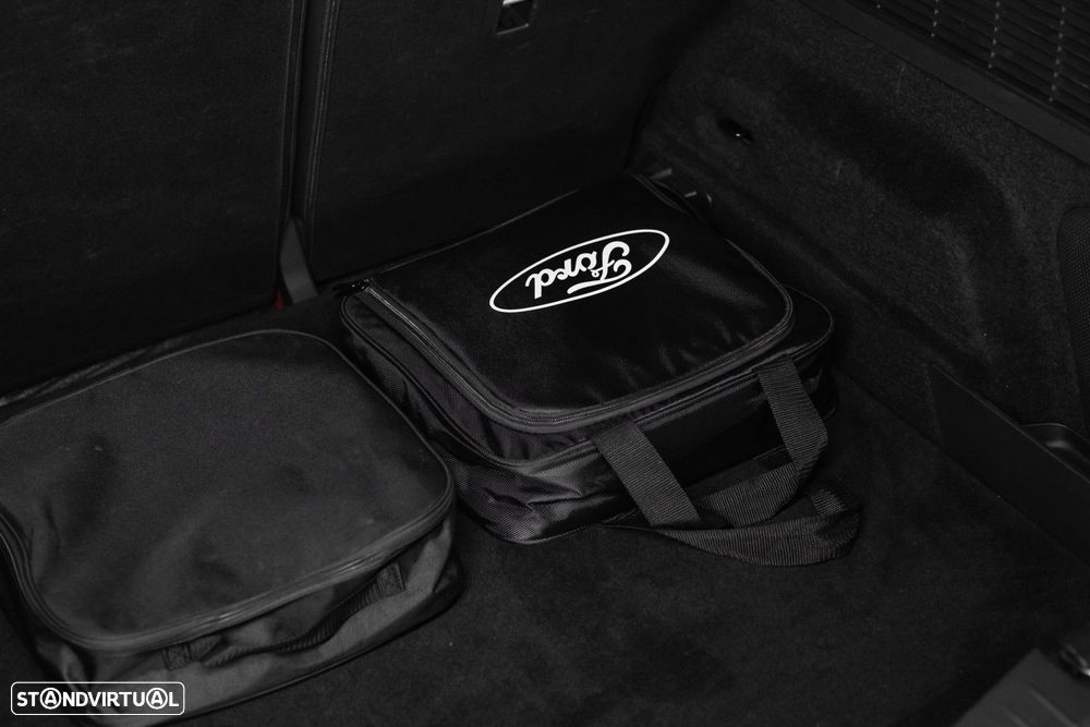 Ford Mustang Mach-E Standard - 49