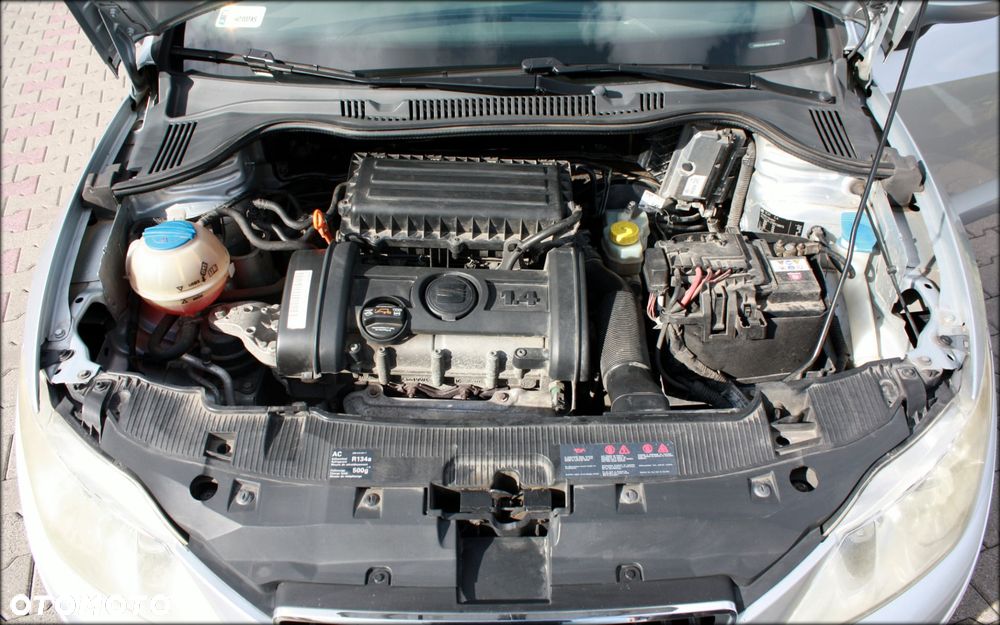 Seat Ibiza - 18