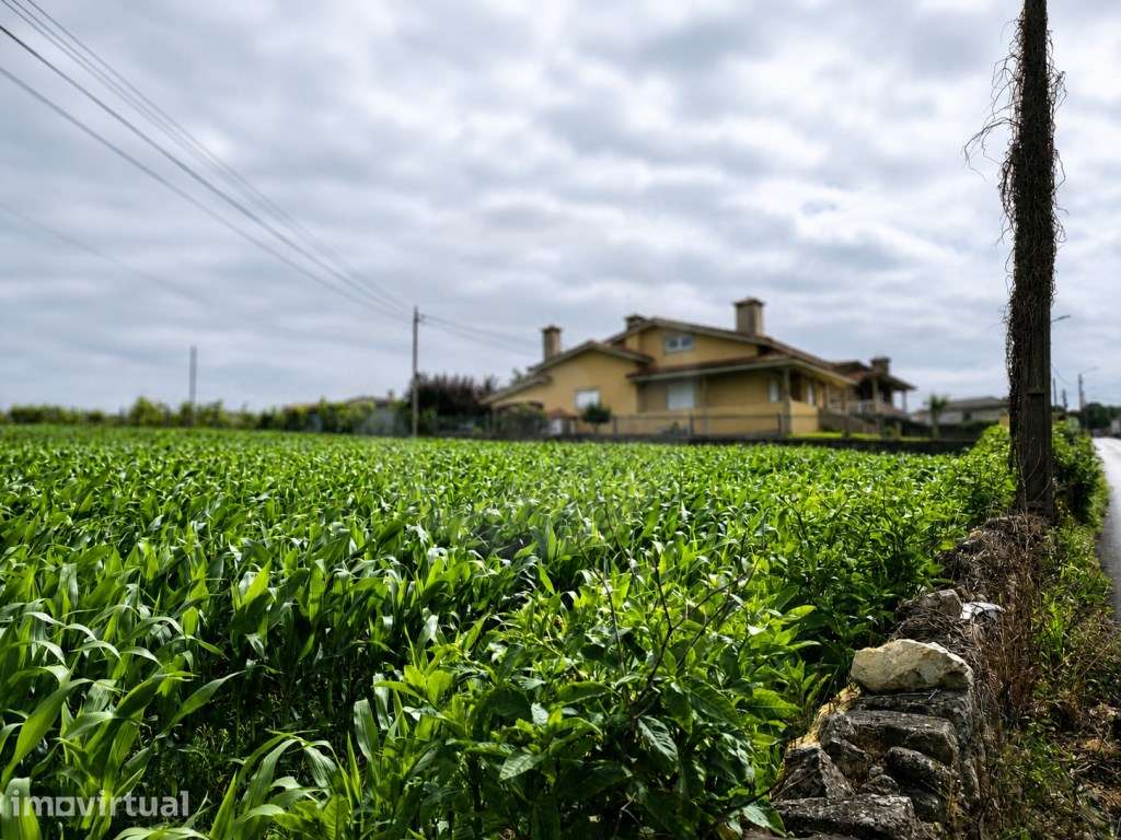 Fantástico Lote com 4.835 m² em Parada Vila do Conde - Grande imagem: 4/28