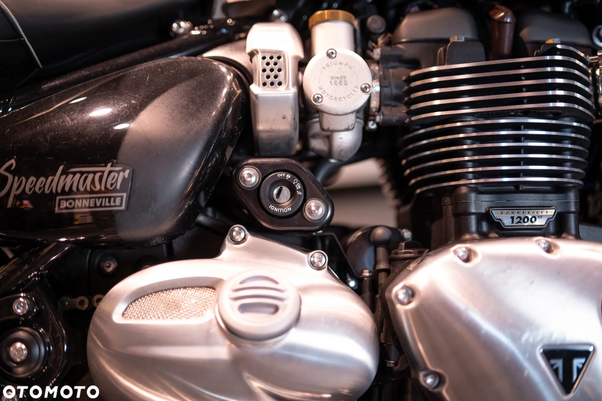 Triumph Speedmaster - 21