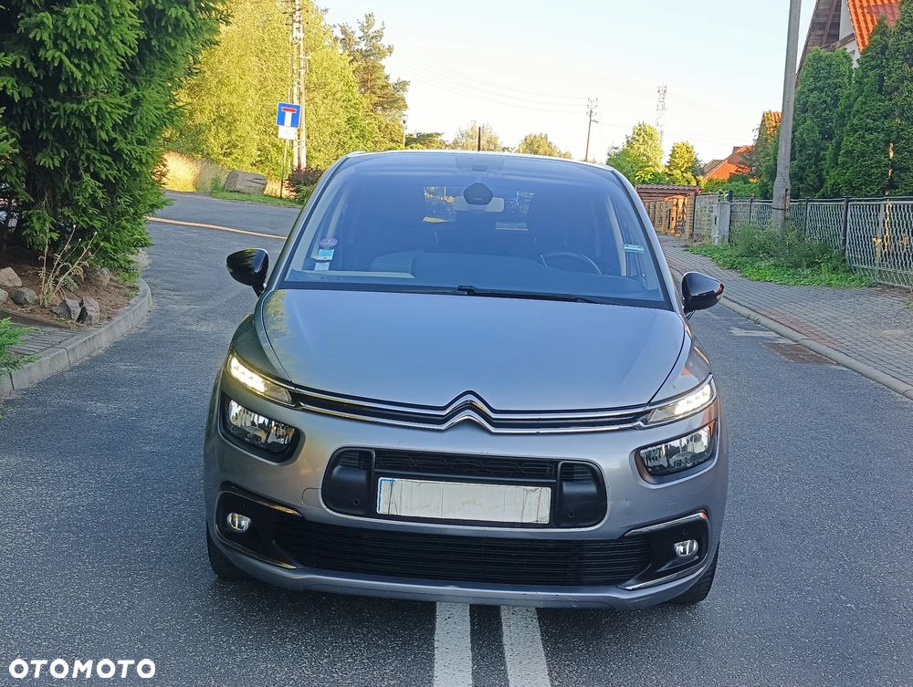Citroën C4 SpaceTourer 1.2 PureTech Rip Curl S&S EAT8 - 28