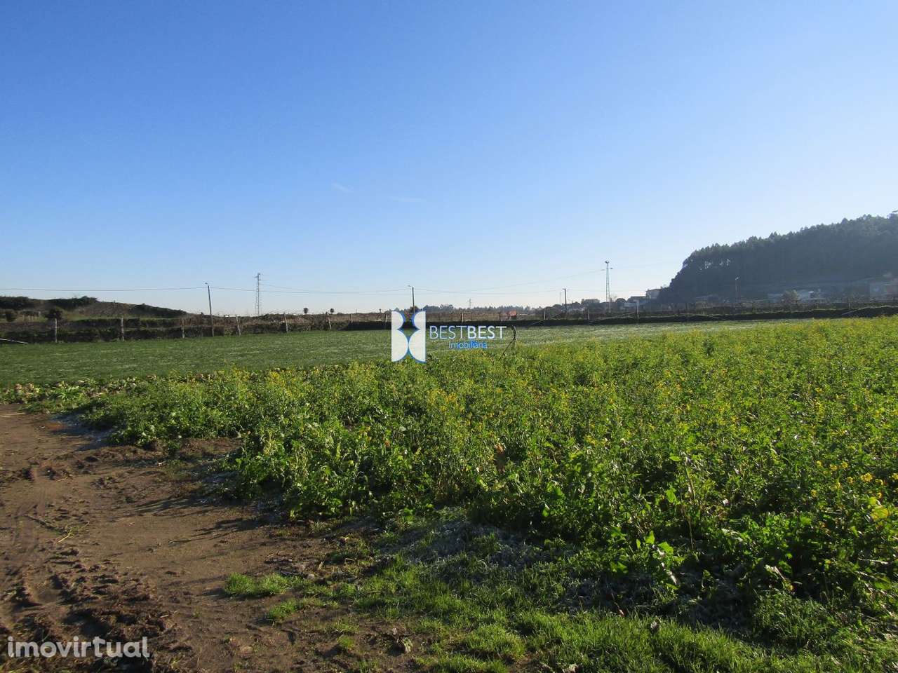 TERRENO com 4.150 M2 ENTRE TROFA E VILA DO CONDE - Grande imagem: 3/3