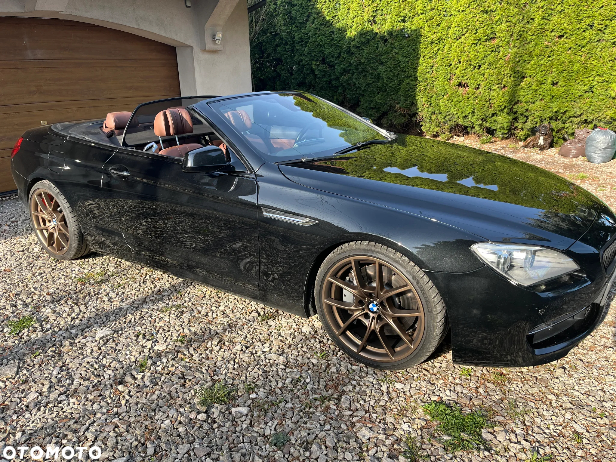 BMW Seria 6 650i Cabrio - 2