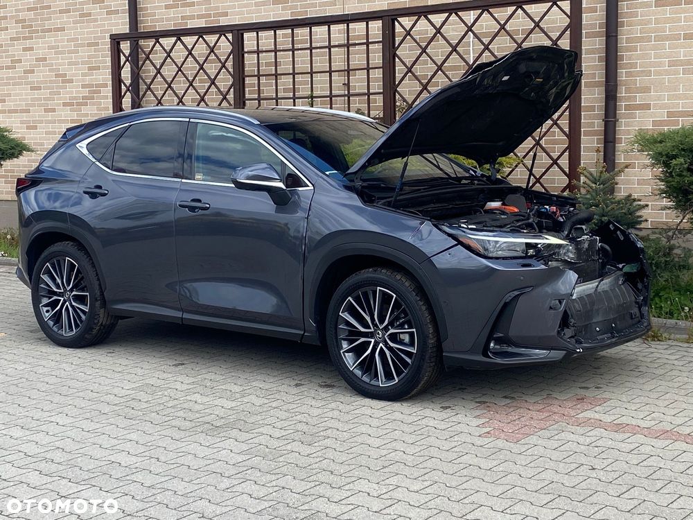 Lexus NX 350h Omotenashi AWD - 12